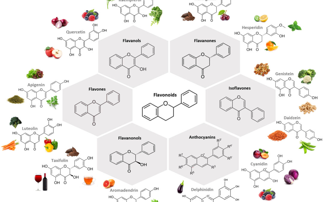 Polyphenols: Powerful Ingredients with immunonutrients that tip the balance