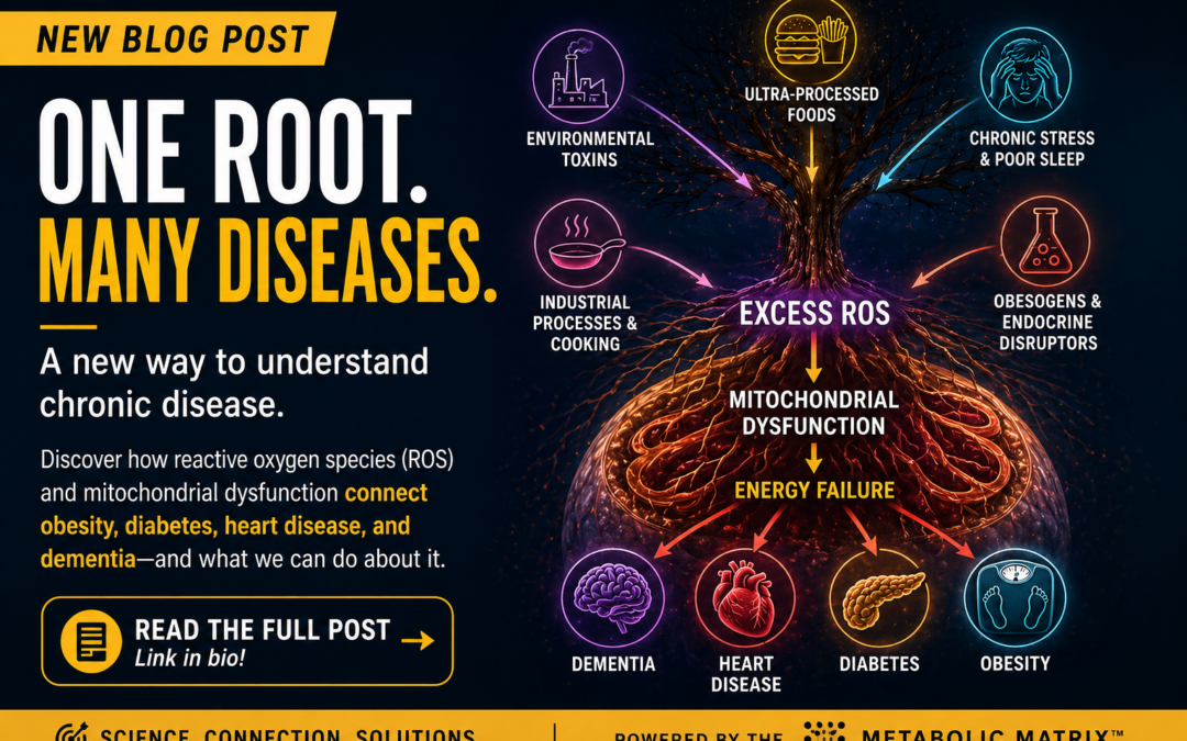Upstream Architecture for NCDs, Longevity, and Lifespan