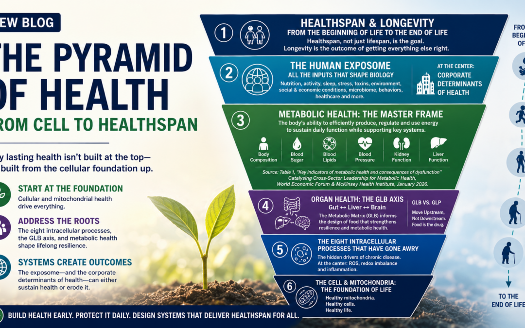 Pyramid of Health